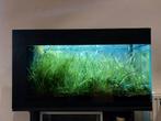 Aquarium 80L met onderstel, Dieren en Toebehoren, Vissen | Aquaria en Toebehoren, Ophalen