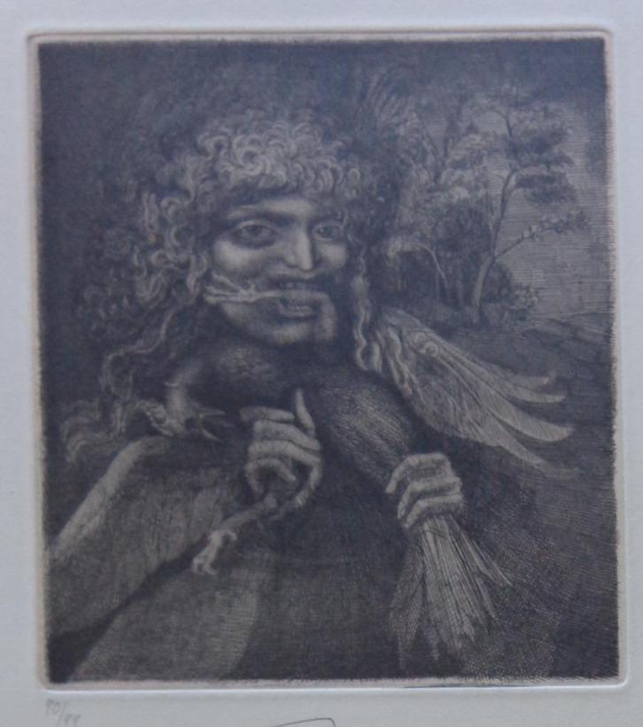 ERNST FUCHS / VOGELFRESSER / ZW-W ETS / 52x39cm / SIG, Antiek en Kunst, Kunst | Litho's en Zeefdrukken, Verzenden