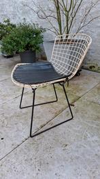 Vintage knoll side chair by Harry Bertoia, Ophalen