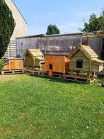 nieuw kippenhok pik/pak + automatische deur aan 59 euro, Dieren en Toebehoren, Pluimvee | Toebehoren, Ophalen of Verzenden, Nieuw