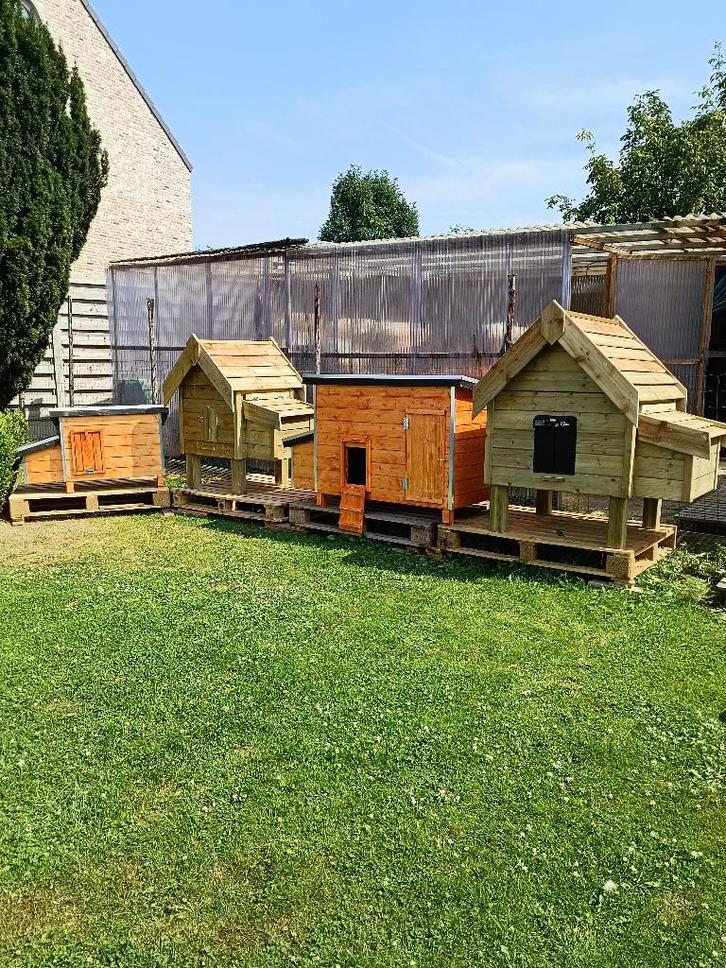 nieuw kippenhok pik/pak + automatische deur aan 59 euro, Dieren en Toebehoren, Pluimvee | Toebehoren, Nieuw, Kippenhok of Kippenren