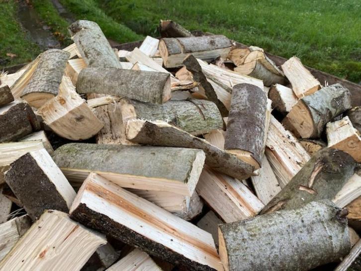 Brandhout Abeel Halfdroog, Tuin en Terras, Brandhout, Overige houtsoorten, 3 tot 6 m³, Ophalen of Verzenden