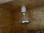 Terrarium met lamp, Dieren en Toebehoren, Ophalen, Gebruikt, Terrarium of Paludarium