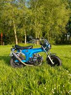 moto dax 140cc yx, 1 cylindre, Jusqu'à 11 kW