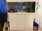 Aquarium Juwel 180l, Animaux & Accessoires, Poissons | Aquariums & Accessoires, Enlèvement, Utilisé, Aquarium vide