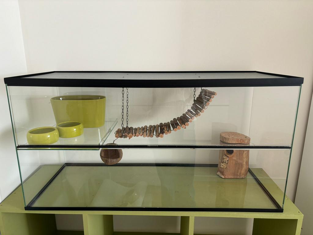 Te koop terrarium, Dieren en Toebehoren, Ophalen