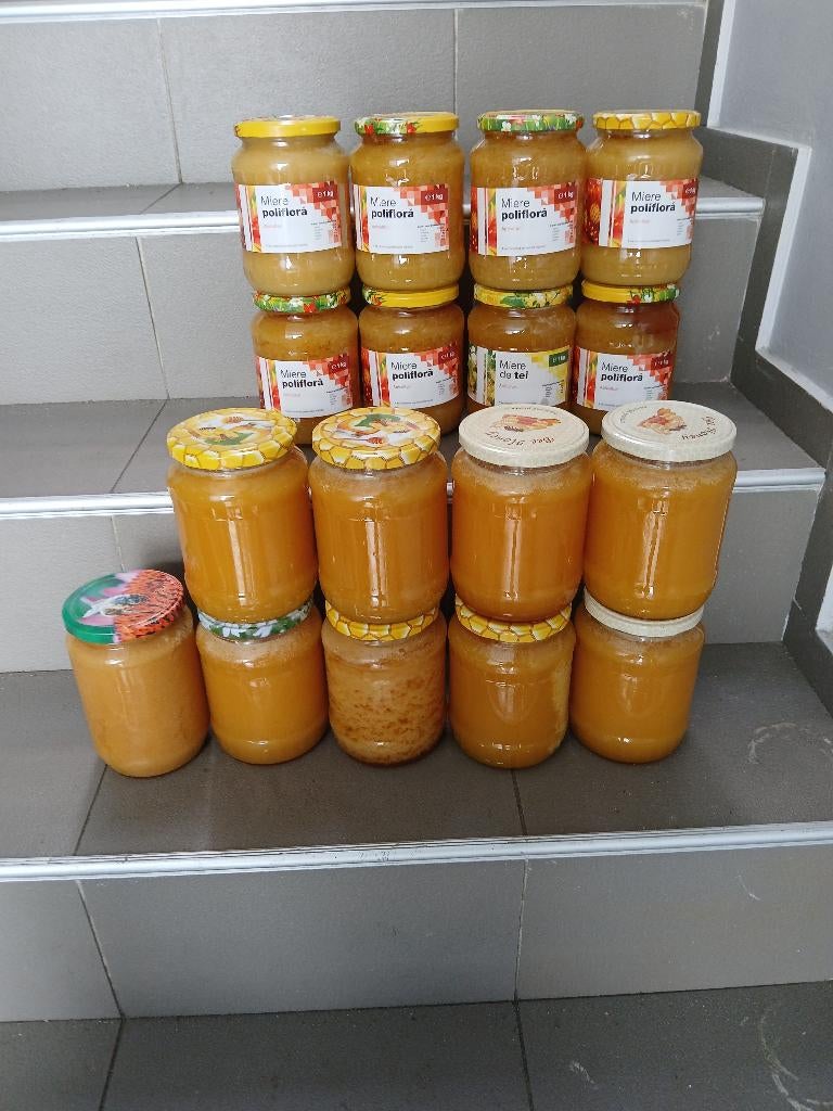 MIEL POLYFLORE 10 € - 1KG, Neuf, Jaune, Enlèvement, Autres matériaux