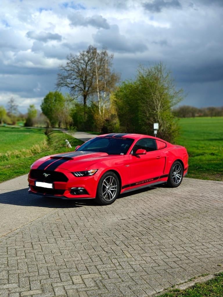 Ford Mustang Ecoboost, Autos, Ford USA, Particulier, Mustang, ABS, Caméra de recul, Airbags, Air conditionné, Bluetooth, Ordinateur de bord