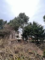 3 Bomen +-15/20 Meter, Ophalen, 400 cm of meer