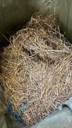 voordroog hooi 2025 kleine pakjes, plastiek licht beschadigd, Ophalen