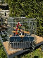 Cage de transport pour perroquet, Enlèvement, Utilisé