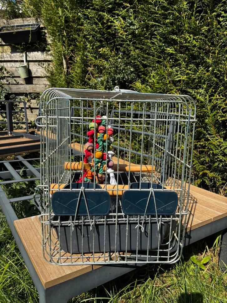 Cage de transport pour perroquet, Animaux & Accessoires, Maisons pour chiens, Utilisé, Enlèvement