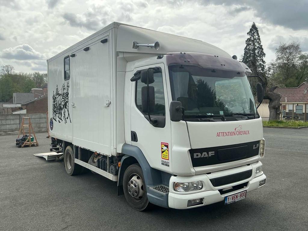 2006 DAF LF45 Vrachtwagen paardentransport, Auto's, Vrachtwagens, Overige brandstoffen, Bedrijf, DAF, Te koop