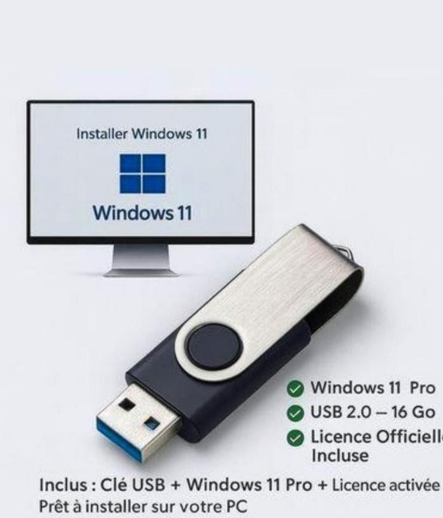 Windows 11 pro usb bootable, Enlèvement, Windows