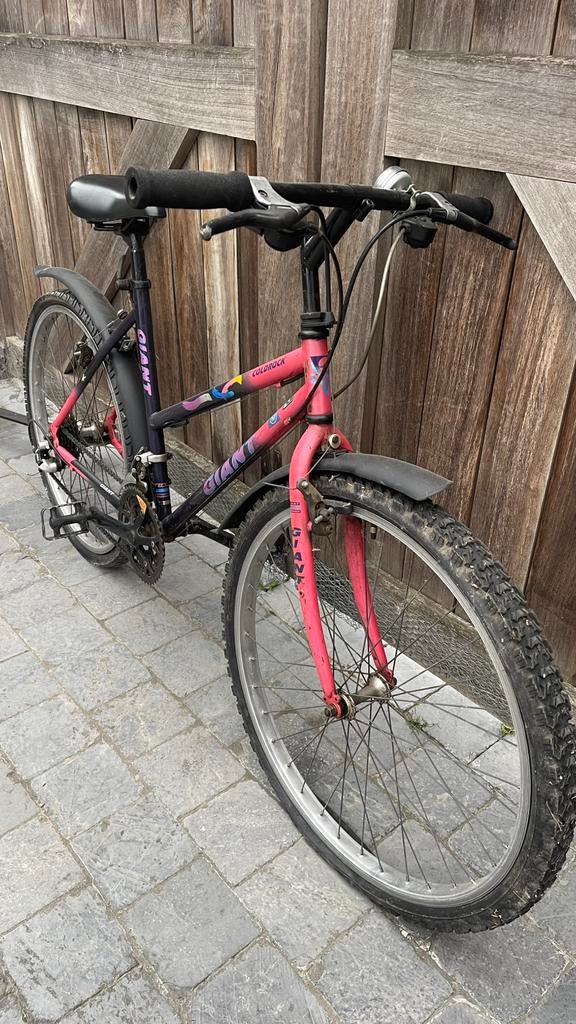 Giant kinderfiets / meisjesfiets 24 inch ( 47 cm), Ophalen, Zo goed als nieuw