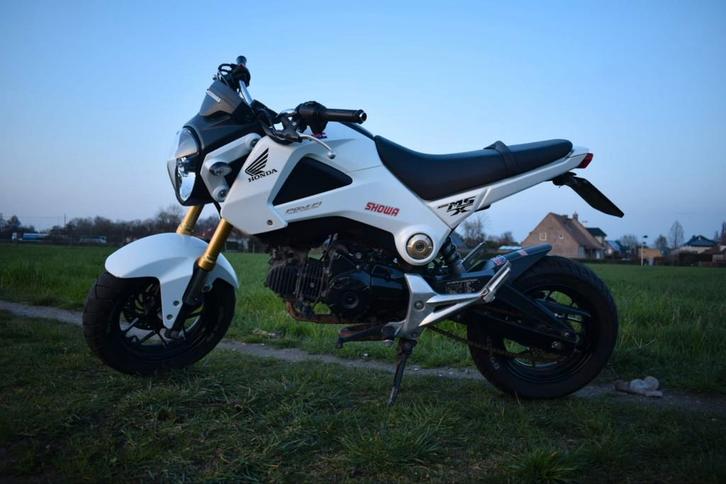 Belle Honda MSX 125cc (permis de conduire B), Vélos & Vélomoteurs, Mini Bikes, Midi Bikes & Pit Bikes, Utilisé, Autres types, Enlèvement