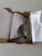 Nieuwe slippers NIKE CALM SLIDE 36.5 olijfgroen/zwart, Kleding | Dames, Slippers, Nike, Nieuw, Ophalen of Verzenden