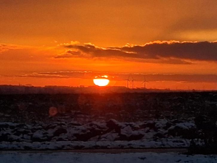 IK ZOEK: WIT DWERGKONIJNTJE, Immo, Appartements & Studios à louer