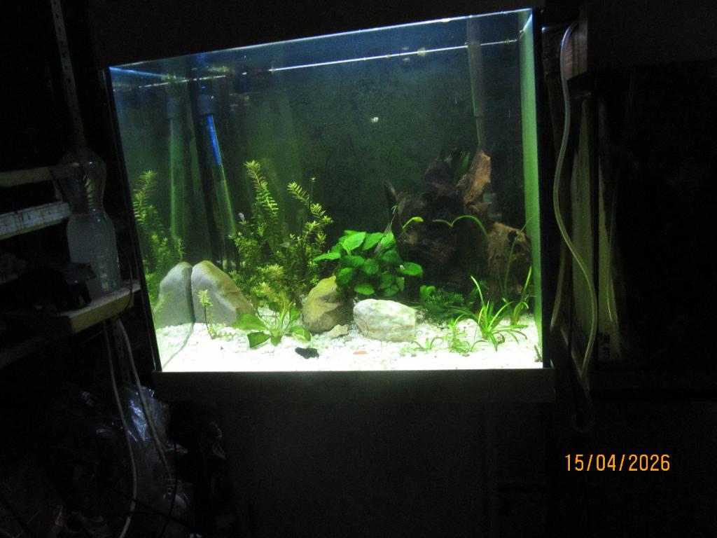 juwel lido 120 in goede staat, Animaux & Accessoires, Poissons | Aquariums & Accessoires, Filter, Chauffage, Juwel, Enlèvement
