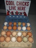 Scharreleieren, Diversen, Levensmiddelen, Ophalen