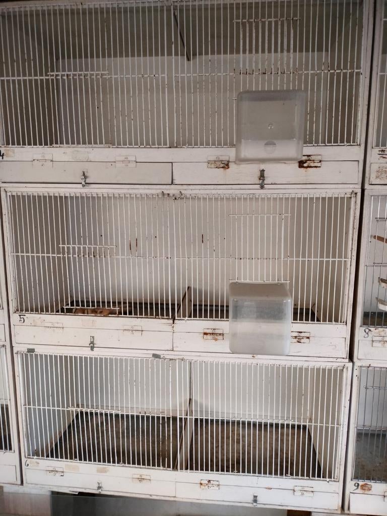 Kweek & ruibak, Animaux & Accessoires, Oiseaux | Cages & Volières, Enlèvement