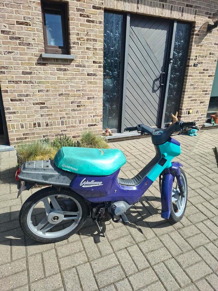 Honda wallaroo, Vélos & Vélomoteurs, Cyclomoteurs | Honda, Enlèvement