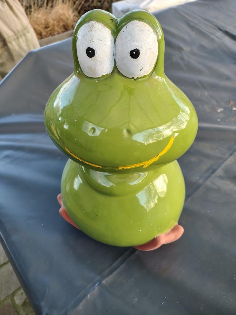 Tuinkikker, Ophalen of Verzenden