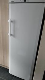 Congélateur LIEBHERR armoire, Electroménager, Congélateurs, Neuf, Congélateur, Classe énergétique A ou plus économe, 160 cm ou plus
