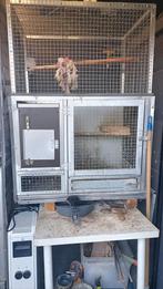 Box d élevage a Maubeuge france