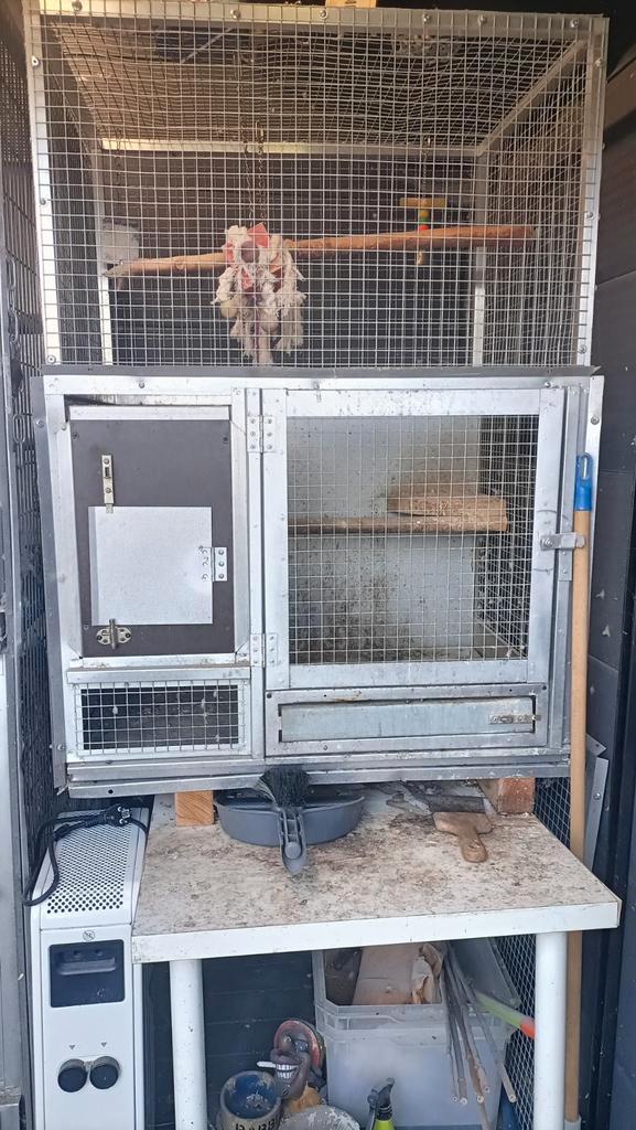 Box d élevage a Maubeuge france, Dieren en Toebehoren, Vogels | Hokken en Kooien