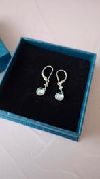 Boucles d'oreilles en argent, Bijoux, Sacs & Beauté, Neuf, Enlèvement ou Envoi, Argent, Argent