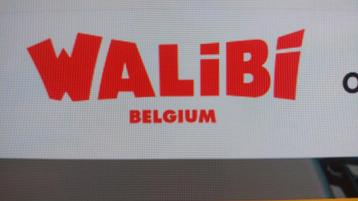 2 billets pour Walibi Belgium, Tickets & Billets