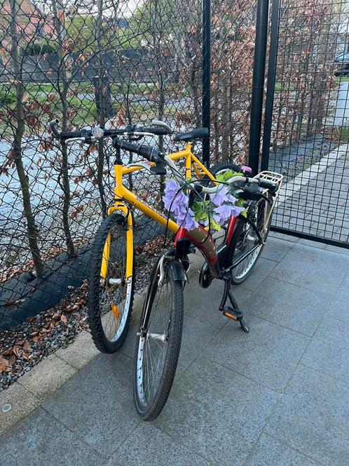 2 stevige stads-/mountainbikes te koop samen voor maar €115!, Fietsen en Brommers, Fietsen | Jongens, Zo goed als nieuw, Ophalen