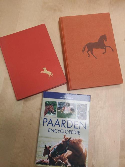 3 Encyclopedieën over paarden, Boeken, Encyclopedieën, Gelezen, Los deel, Dieren, Ophalen of Verzenden