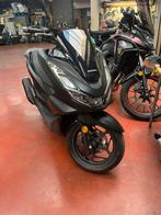 Honda pcx 125 2024 neuf 5 ans garantie !, 1 cylindre, Scooter, Particulier, 125 cm³