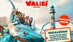 4 tickets Walibi + parkingticket (afhalen), Drie personen of meer