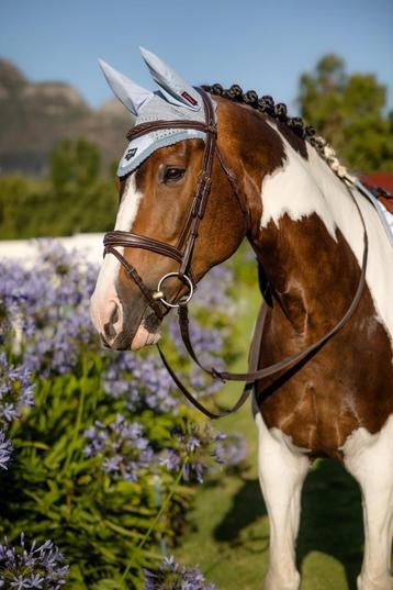 LeMieux Loire Oornetje Mist Full SALE -43%!!
