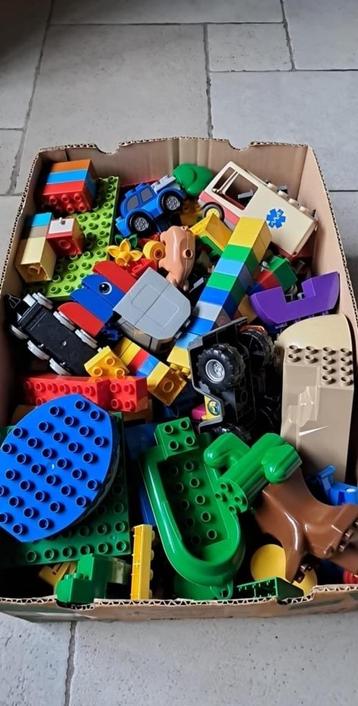 duplo volle bananendoos beschikbaar voor biedingen