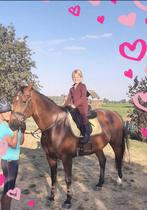 Zoekt iem hulp bij paarden ?, Ophalen