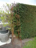 grimpe plantes de jardin en fer forgé plein voir photos, Enlèvement, Neuf