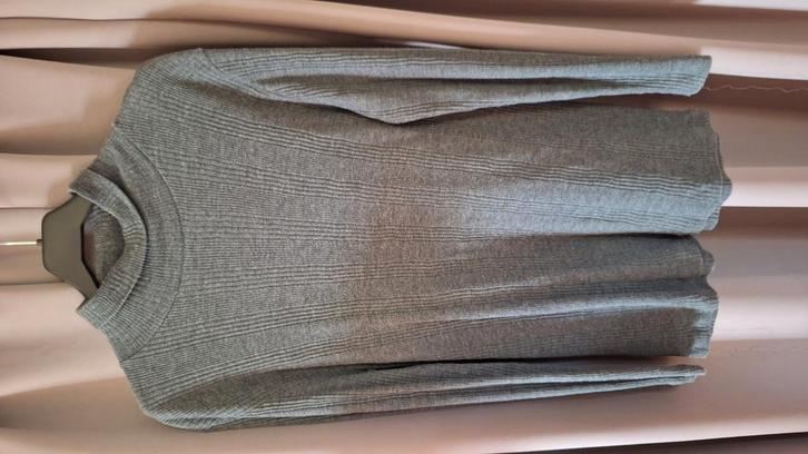 Grijze trui lange mouw met rolkraag maat M 40-42 uit katoen, Kleding | Dames, Truien en Vesten, Zo goed als nieuw, Maat 38/40 (M)