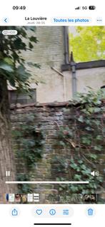 Bois a donner arbre a couper et jardin a nettoyer, Tuin en Terras, Brandhout, 3 tot 6 m³, Ophalen, Overige houtsoorten, Blokken