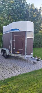 Paardentrailer Marco, 2-paards trailer, Zo goed als nieuw, Hout, Ophalen