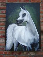 Schilderij Arabisch paard (doek 50x70 cm), Antiek en Kunst, Ophalen of Verzenden