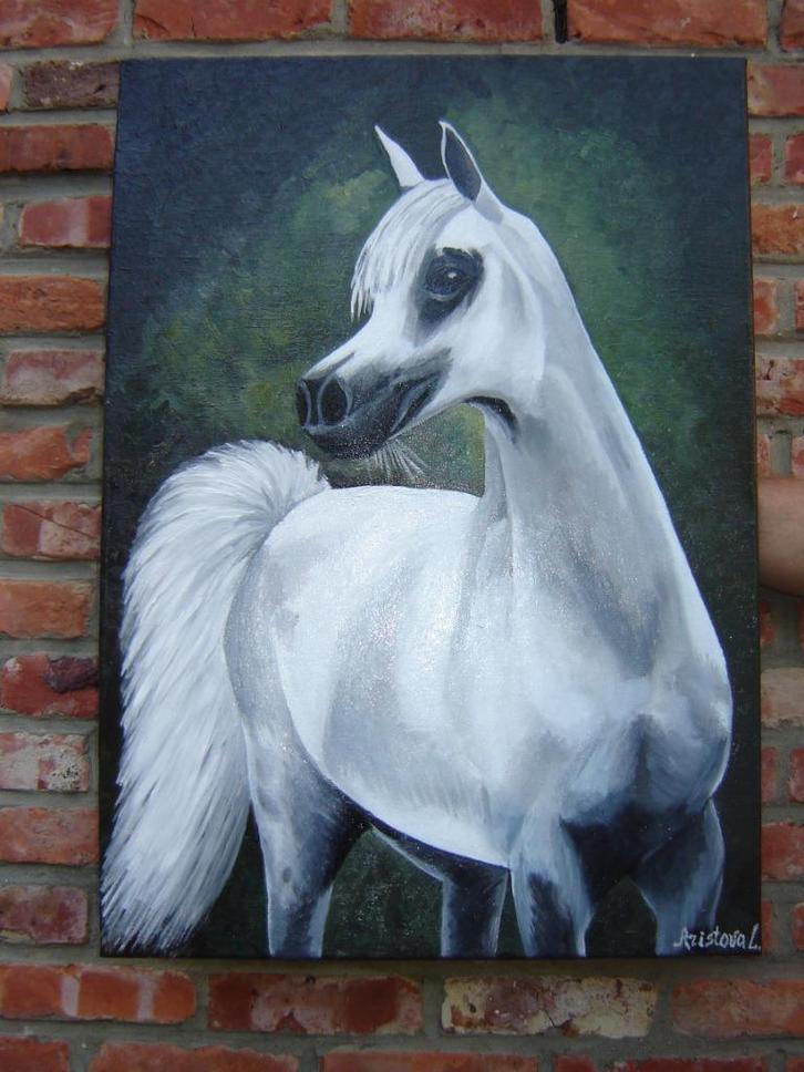 Schilderij Arabisch paard (doek 50x70 cm), Antiek en Kunst, Kunst | Schilderijen | Klassiek, Ophalen of Verzenden