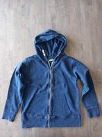 blauwe trui met kap en rits maat 128 knot so bad, Knot so bad, Trui of Vest, Ophalen of Verzenden, Zo goed als nieuw