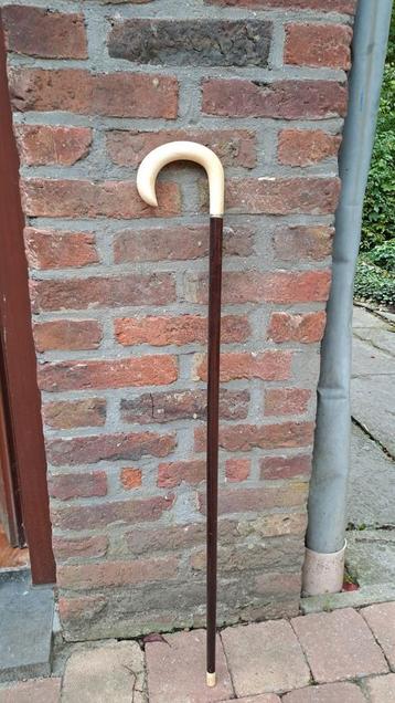 Canne  beschikbaar voor biedingen