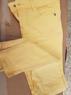 2 petits pantalons Massimo Dutti, Vêtements | Femmes, Culottes & Pantalons, Comme neuf, Jaune, Taille 36 (S), Enlèvement ou Envoi