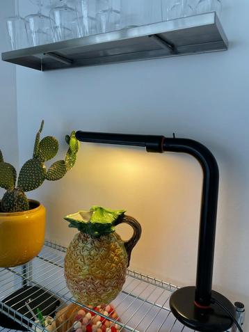 Philips FTH411 Designlamp - Zwart beschikbaar voor biedingen