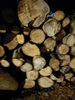 Brandhout, Enlèvement